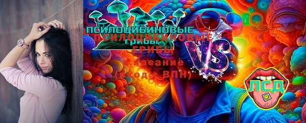 шишки Магадан
