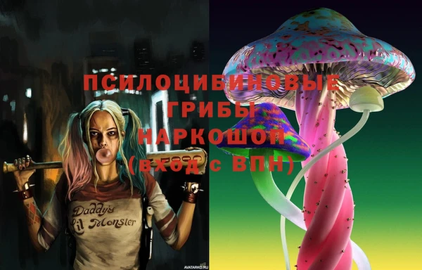 шишки Магадан