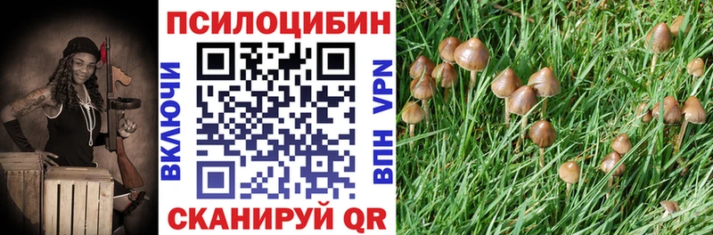 Купить закладки  Артёмовский  Псилоцибиновые грибы Cubensis 
